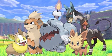 Dog Pokémon To Make The Best Team Of Goodest Boys .